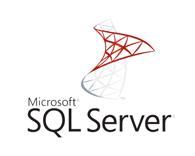 Microsoft SQL Server Std. 2019 USER CAL